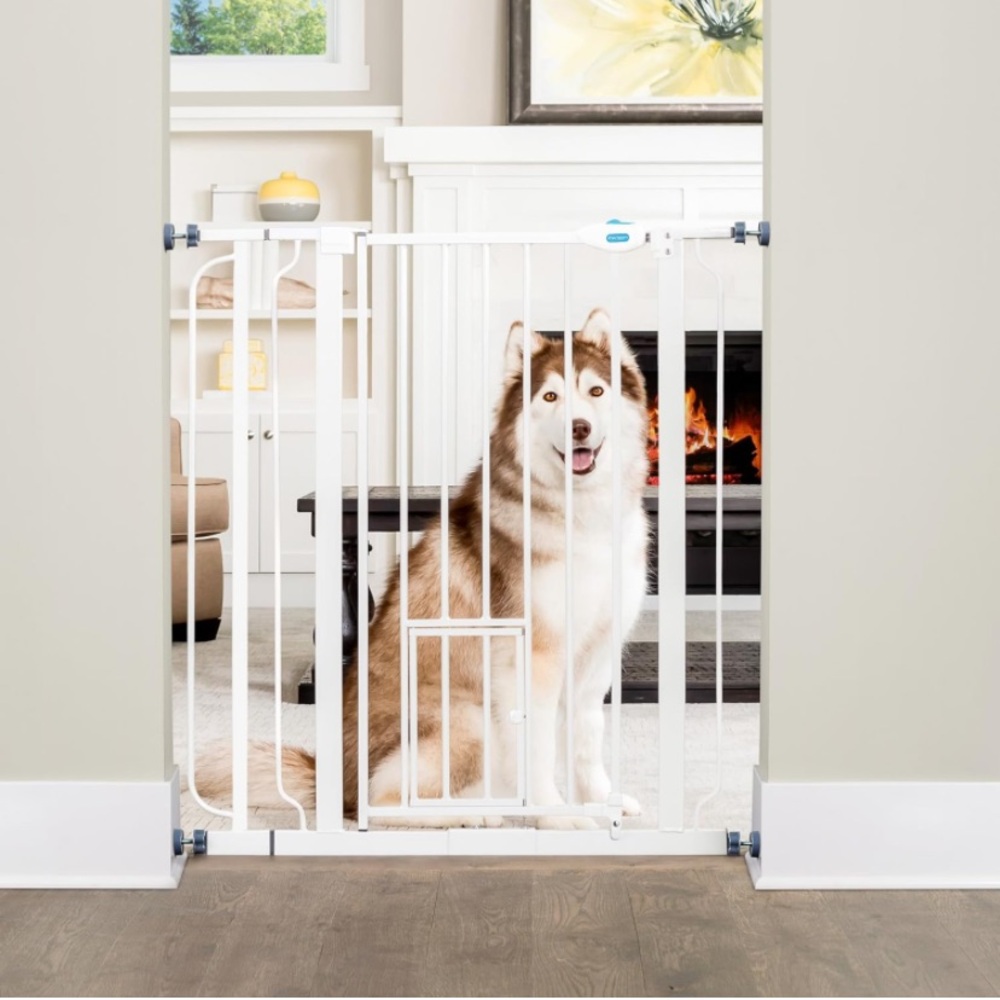 Tall Dog Gate